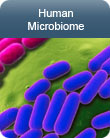 Human Microbiome