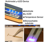 optogenetics