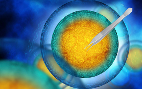 Manipulating the organization of DNA in the cell nucleus.