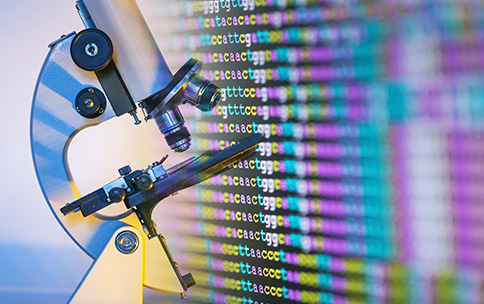 Color-coded DNA sequence on the monitor with a microscope.