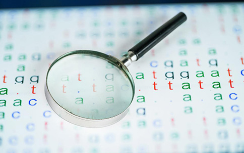 DNA Bases and Magnifying Glass.