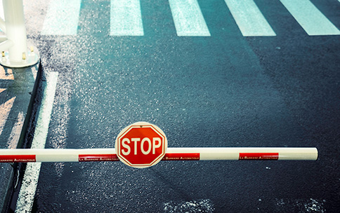 STOP sign and crossing.