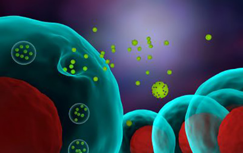 Identifying Zip Codes and Contents of Molecular Packages