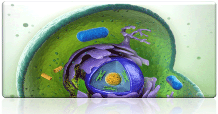 Structural Biology Laboratory Methods