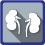 Clickable icon showing an image of the kidneys.