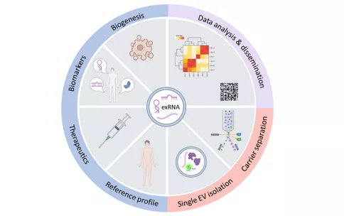 The Extracellular RNA Communication program goals focused on a number of topics related to exRNA. In Phase I, the program focused on developing reference profiles, therapeutics, biomarkers, and understanding the potential for biogenesis. Phase II then focused on single extracellular vesicle isolation and carrier separation. Phase I and II both included data analysis and dissemination goals.   